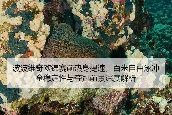 bo-bo-wei-qi-ou-jin-sai-qian-re-shen-ti-su-bai-mi-zi-you-yong-chong-jin-wen-ding-xing-yu-duo-guan-qian-jing-shen-du-jie-2-326.jpg